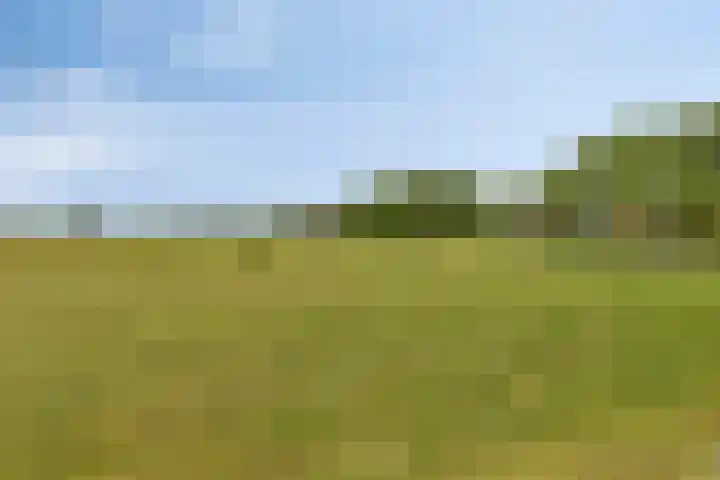 de Esch 15 Saasveld thumbnail 47