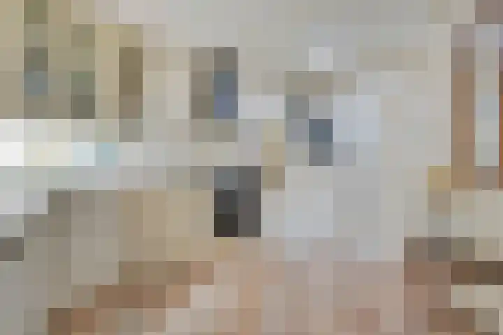 de Esch 15 Saasveld thumbnail 5