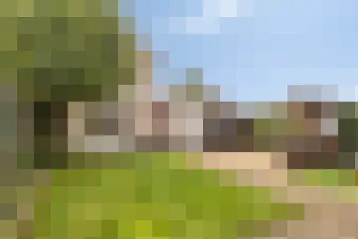 de Esch 15 Saasveld thumbnail 6