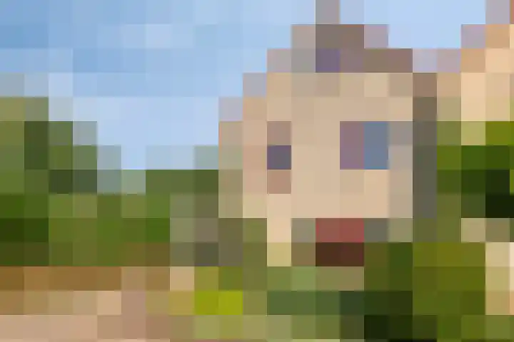 de Esch 15 Saasveld thumbnail 8