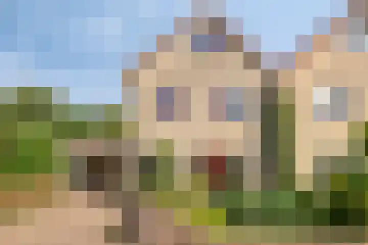 de Esch 15 Saasveld thumbnail 9