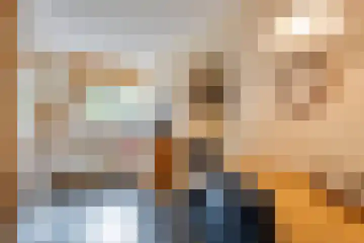 De Esch 2 Gramsbergen thumbnail 13