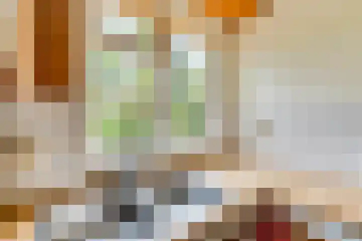 De Esch 2 Gramsbergen thumbnail 15
