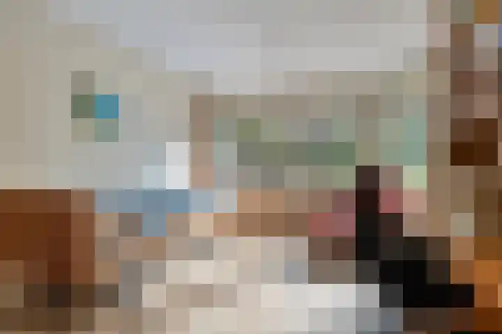 De Esch 2 Gramsbergen thumbnail 18