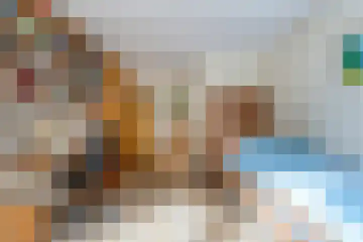 De Esch 2 Gramsbergen thumbnail 19