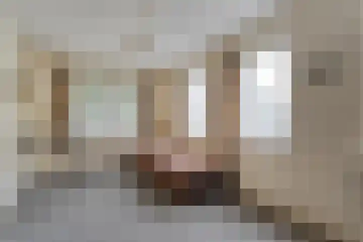 De Esch 2 Gramsbergen thumbnail 25
