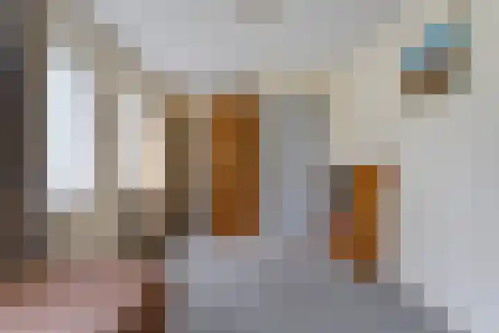 De Esch 2 Gramsbergen thumbnail 26