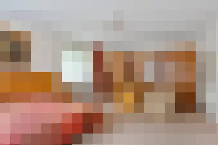 De Esch 2 Gramsbergen thumbnail 27