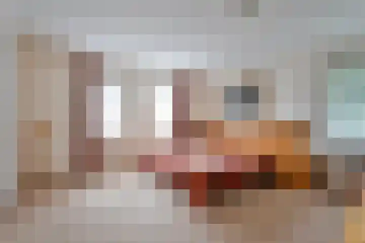 De Esch 2 Gramsbergen thumbnail 28