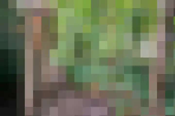 De Esch 2 Gramsbergen thumbnail 34
