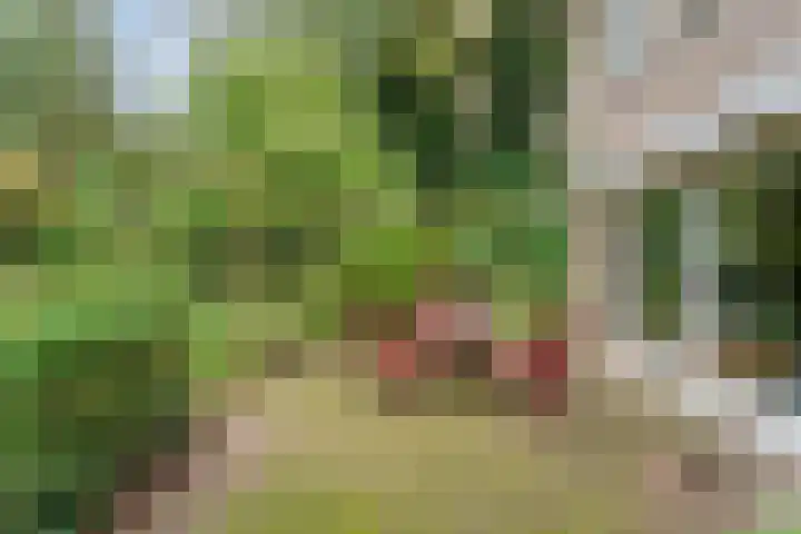 De Esch 2 Gramsbergen thumbnail 36