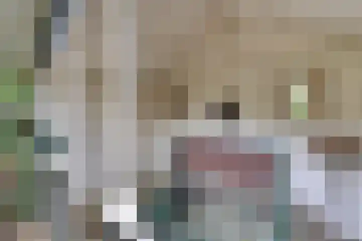 De Esch 2 Gramsbergen thumbnail 38