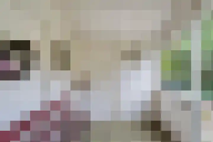 De Esch 2 Gramsbergen thumbnail 39