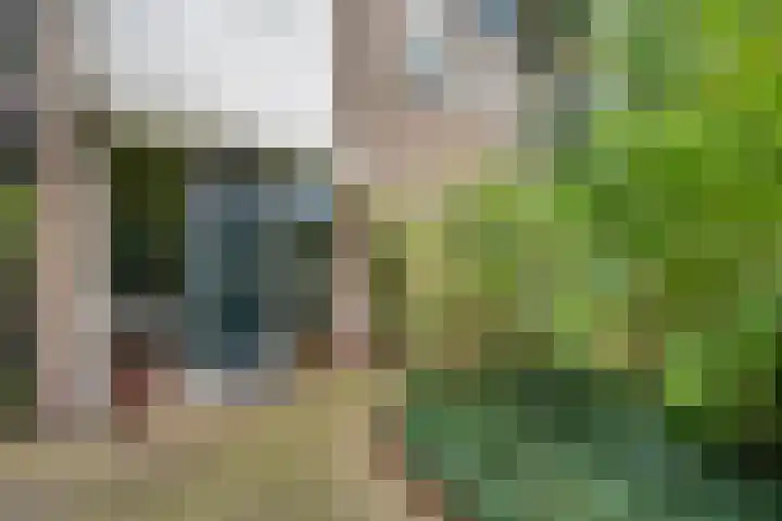 De Esch 2 Gramsbergen thumbnail 4