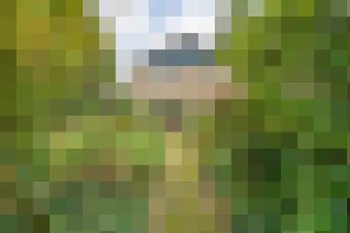 De Esch 2 Gramsbergen thumbnail 40