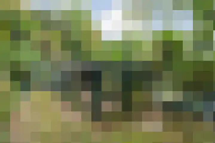 De Esch 2 Gramsbergen thumbnail 42