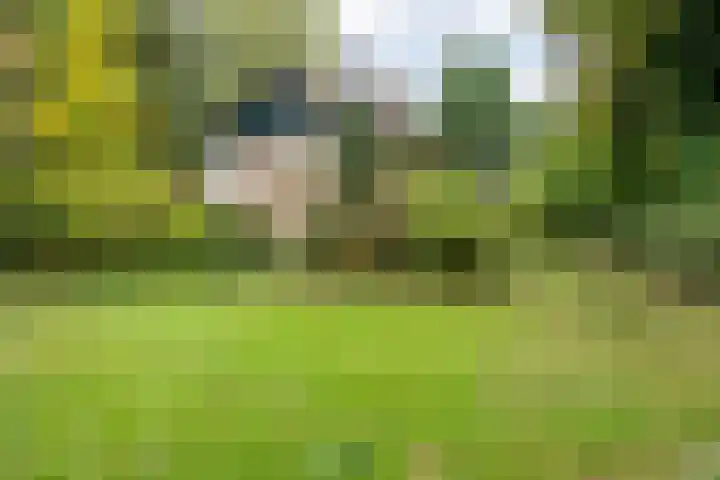 De Esch 2 Gramsbergen thumbnail 43