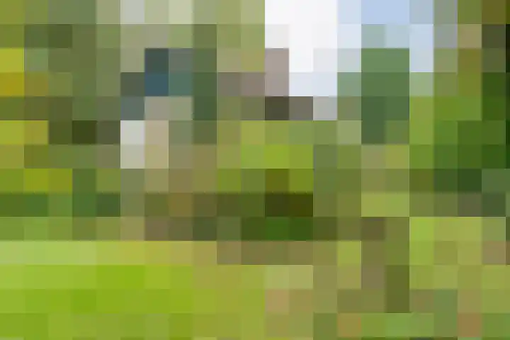 De Esch 2 Gramsbergen thumbnail 44
