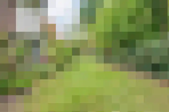 De Esch 2 Gramsbergen thumbnail 47