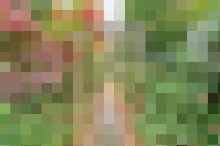 De Esch 2 Gramsbergen thumbnail 49