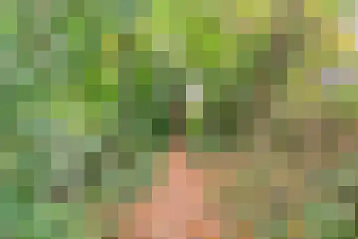 De Esch 2 Gramsbergen thumbnail 50