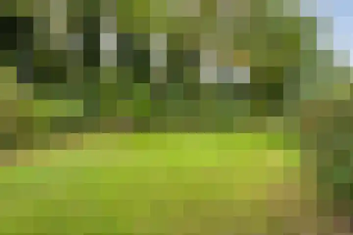 De Esch 2 Gramsbergen thumbnail 53