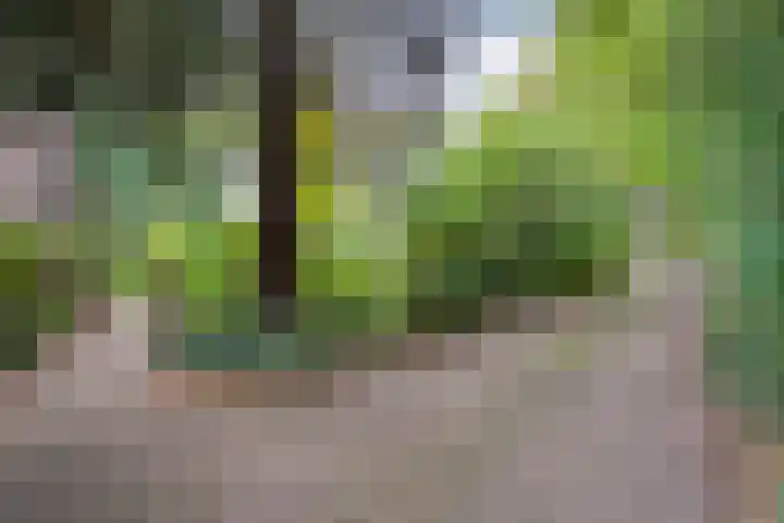 De Esch 2 Gramsbergen thumbnail 54