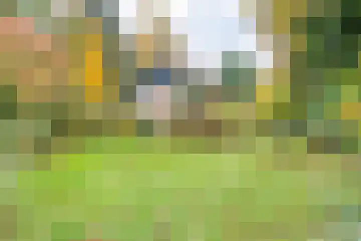 De Esch 2 Gramsbergen thumbnail 55