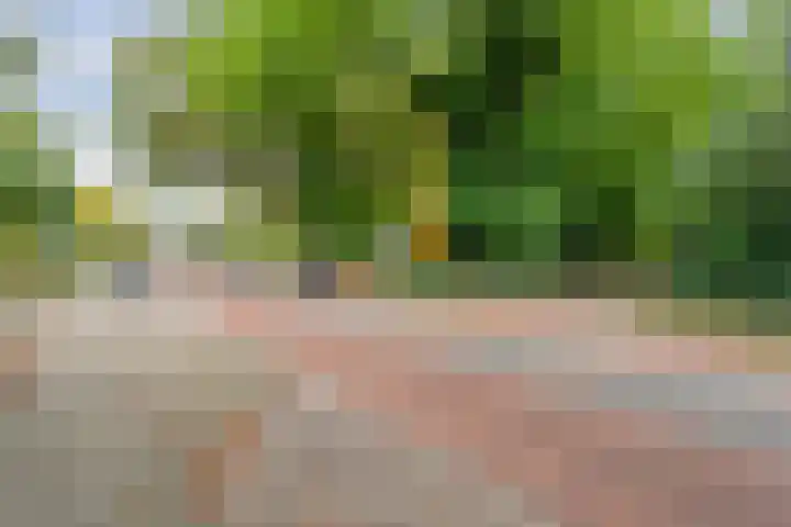 De Esch 2 Gramsbergen thumbnail 56