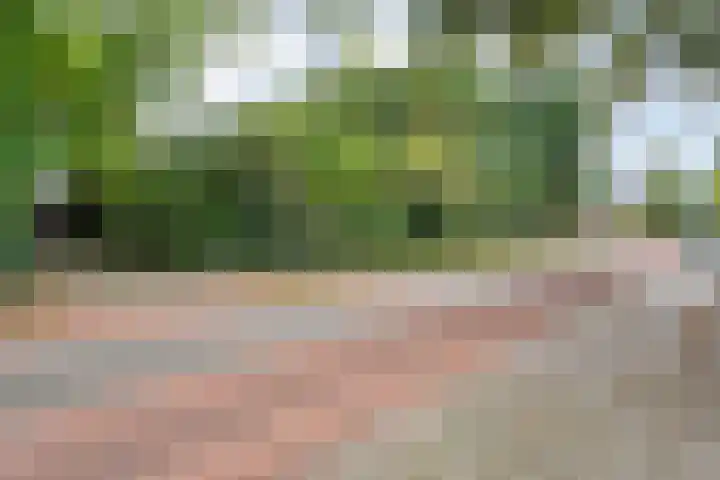 De Esch 2 Gramsbergen thumbnail 57