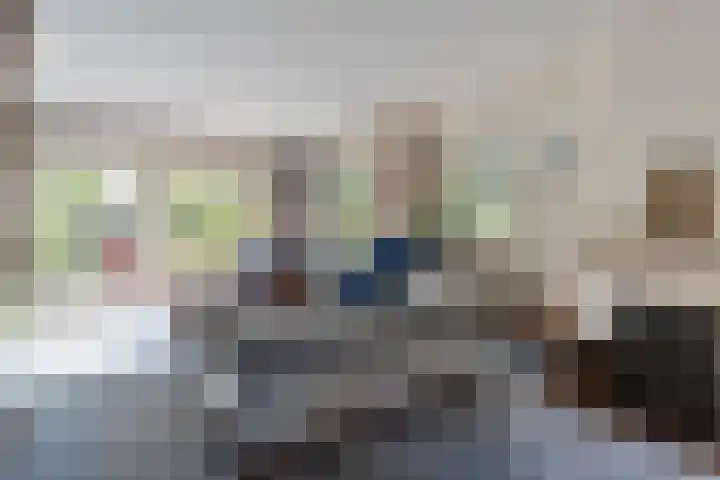 De Esch 2 Gramsbergen thumbnail 7