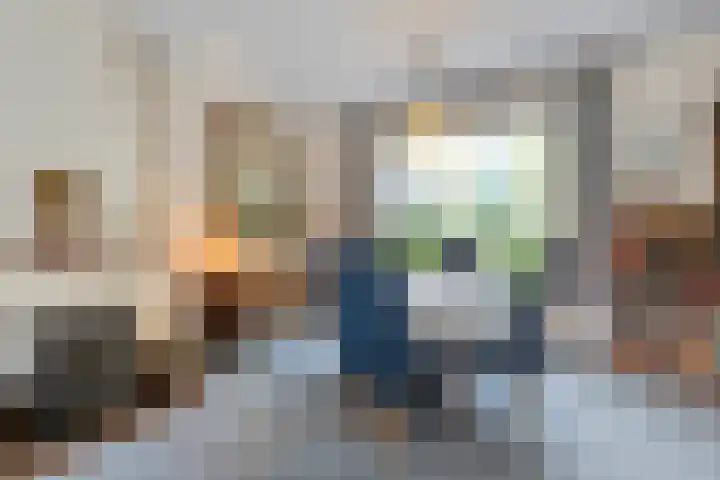 De Esch 2 Gramsbergen thumbnail 8