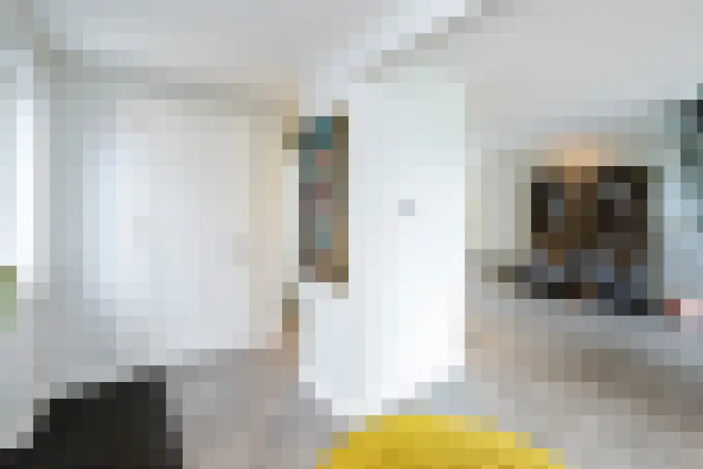 De Esch 33 Gramsbergen thumbnail 14