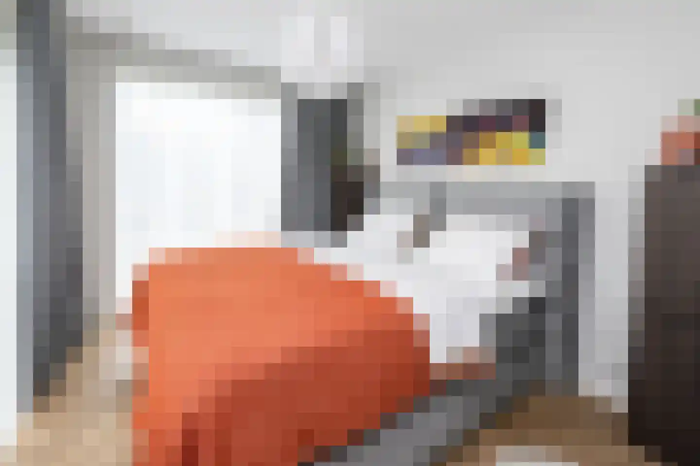 De Esch 33 Gramsbergen thumbnail 17