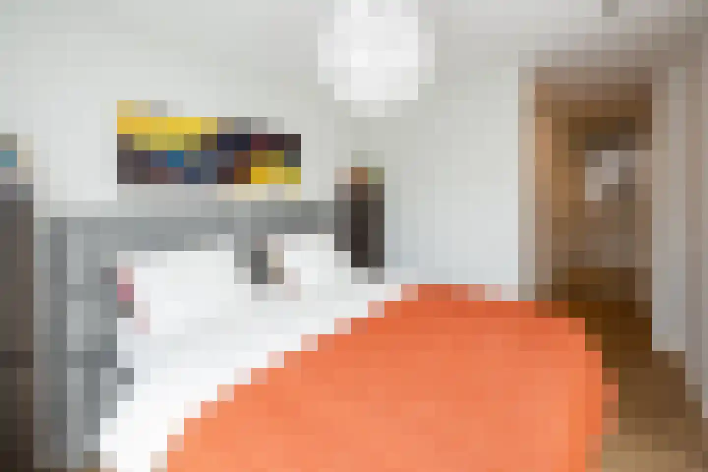 De Esch 33 Gramsbergen thumbnail 19