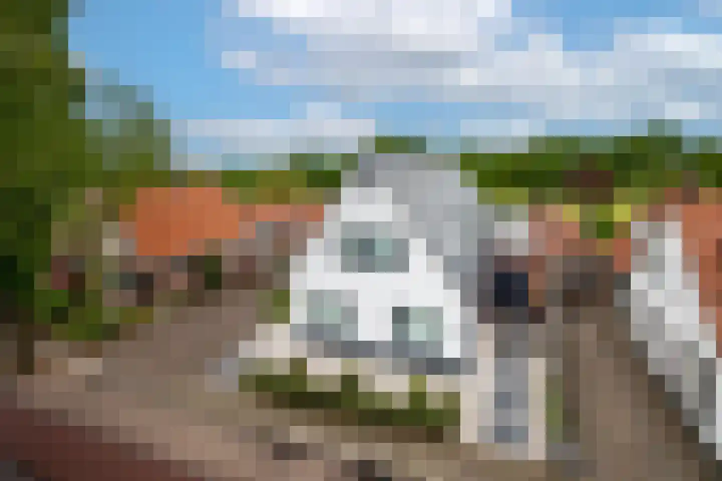 De Esch 33 Gramsbergen foto 2