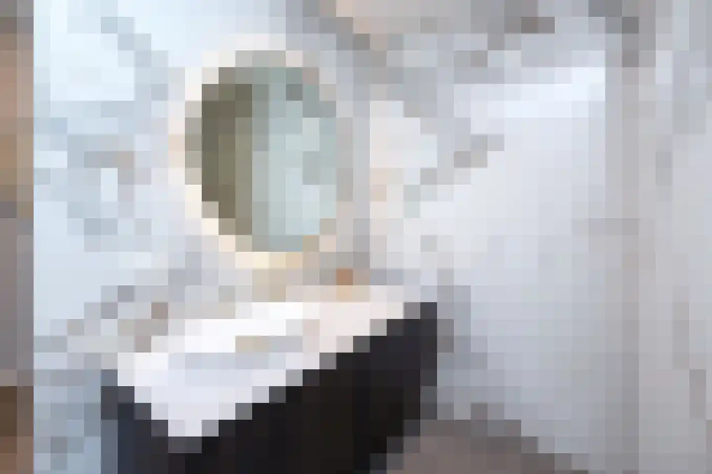 De Esch 33 Gramsbergen thumbnail 20
