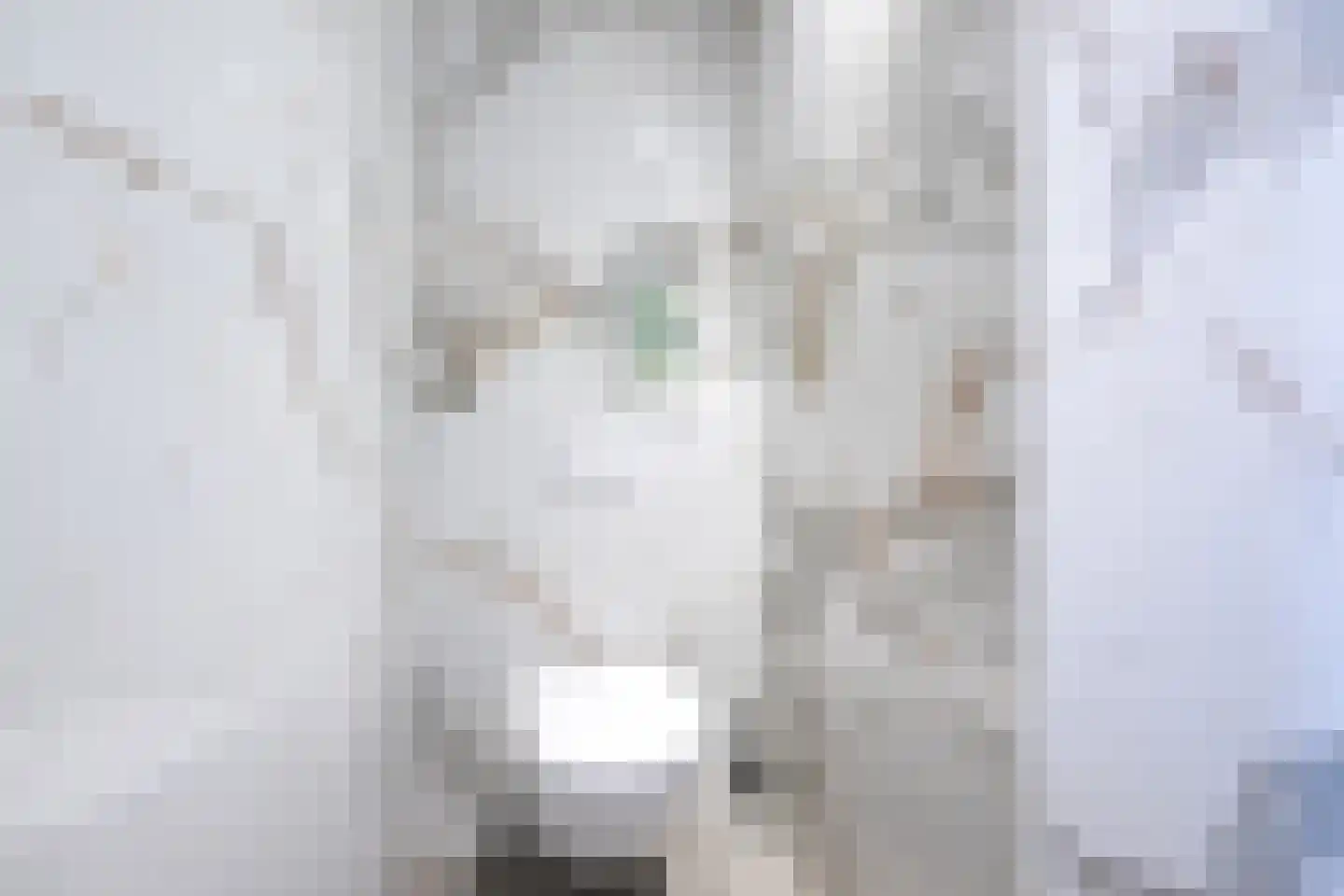 De Esch 33 Gramsbergen thumbnail 21
