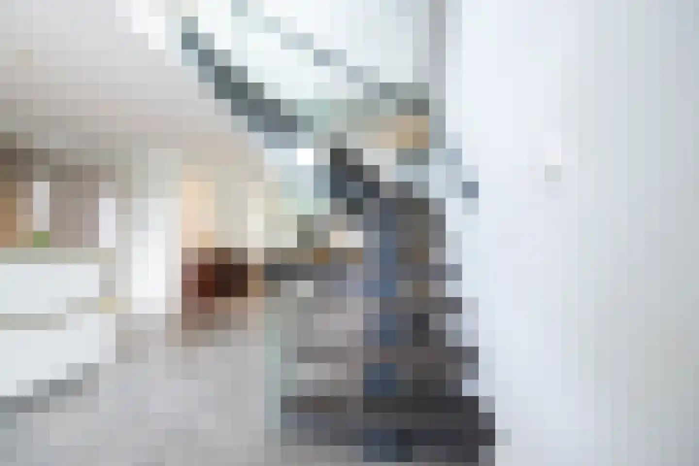 De Esch 33 Gramsbergen thumbnail 24
