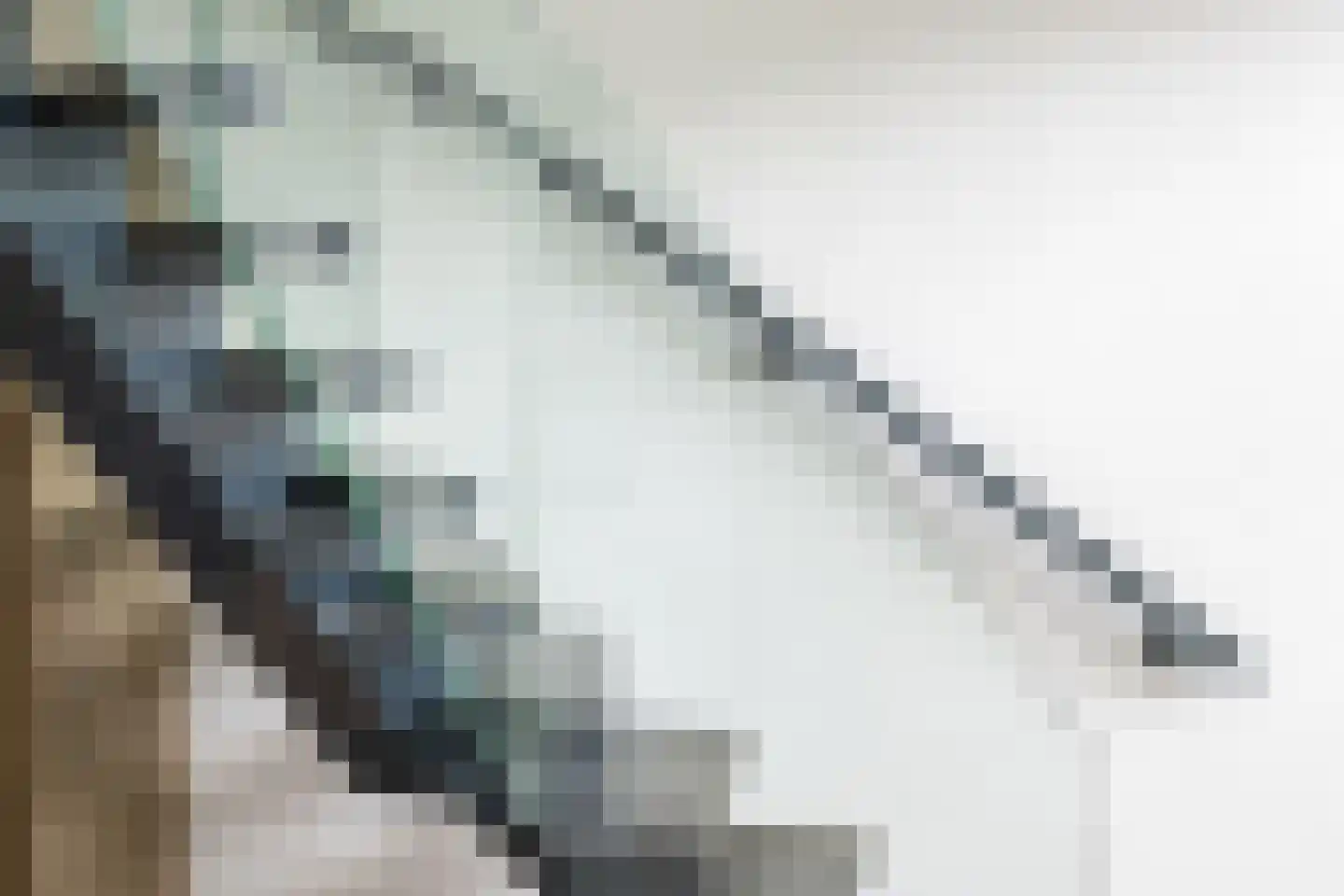 De Esch 33 Gramsbergen thumbnail 25