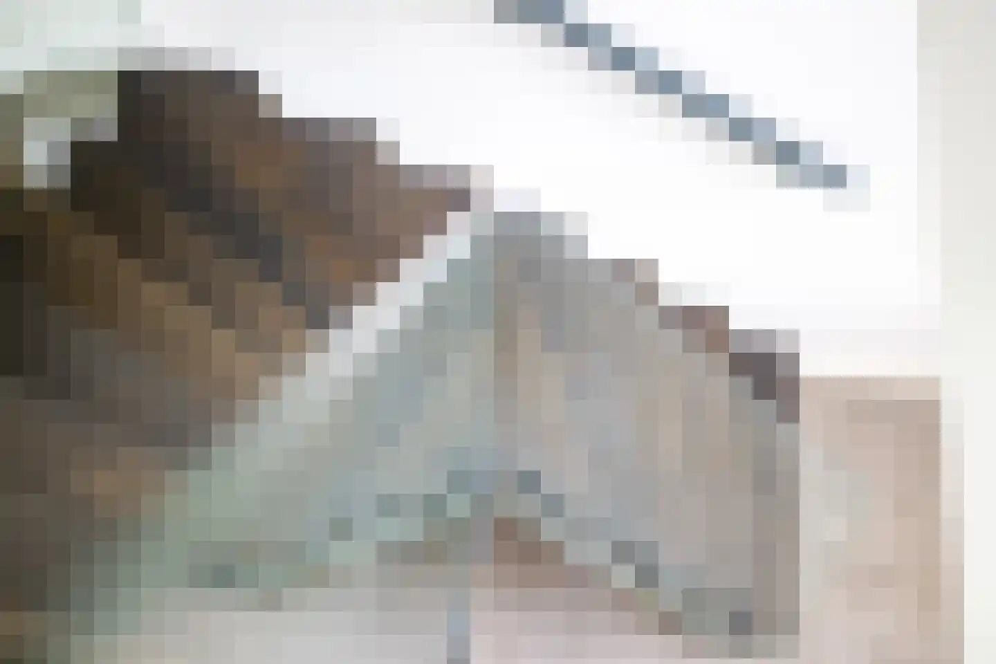 De Esch 33 Gramsbergen thumbnail 26