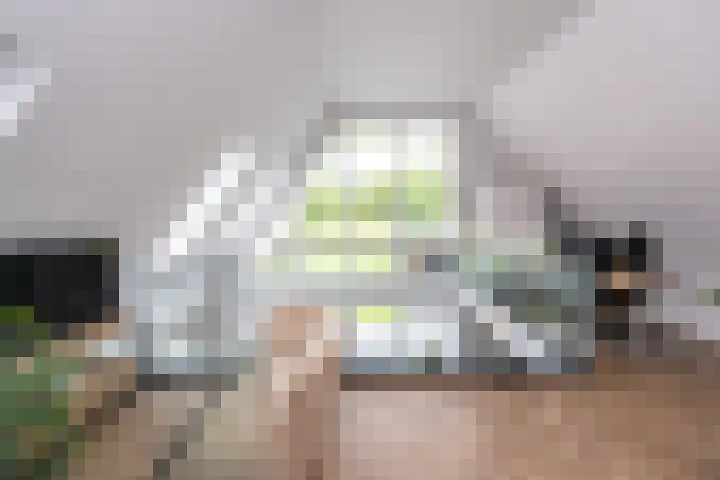 De Esch 33 Gramsbergen thumbnail 27