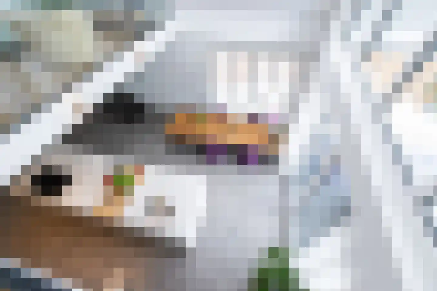 De Esch 33 Gramsbergen thumbnail 28