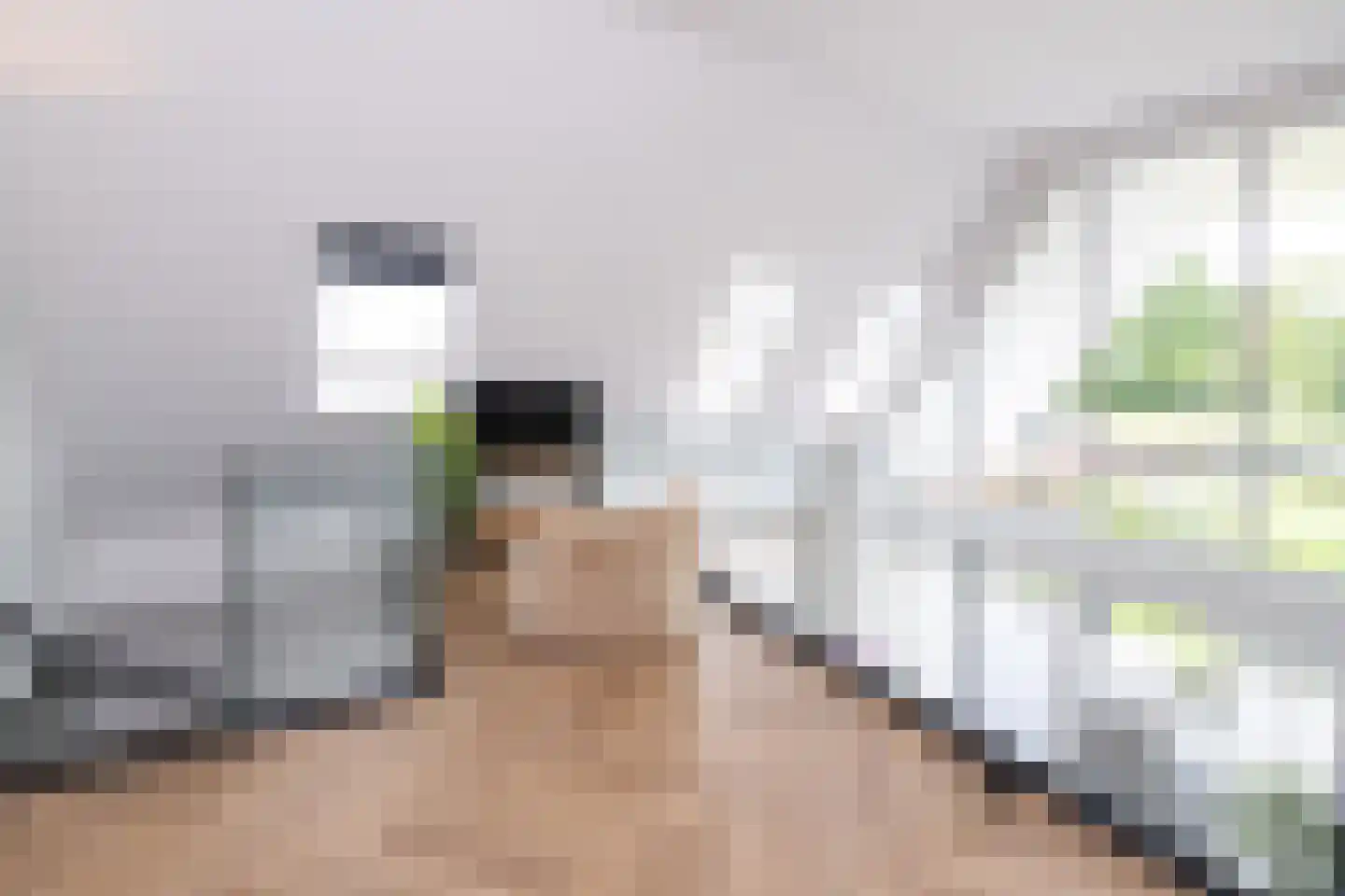 De Esch 33 Gramsbergen thumbnail 29