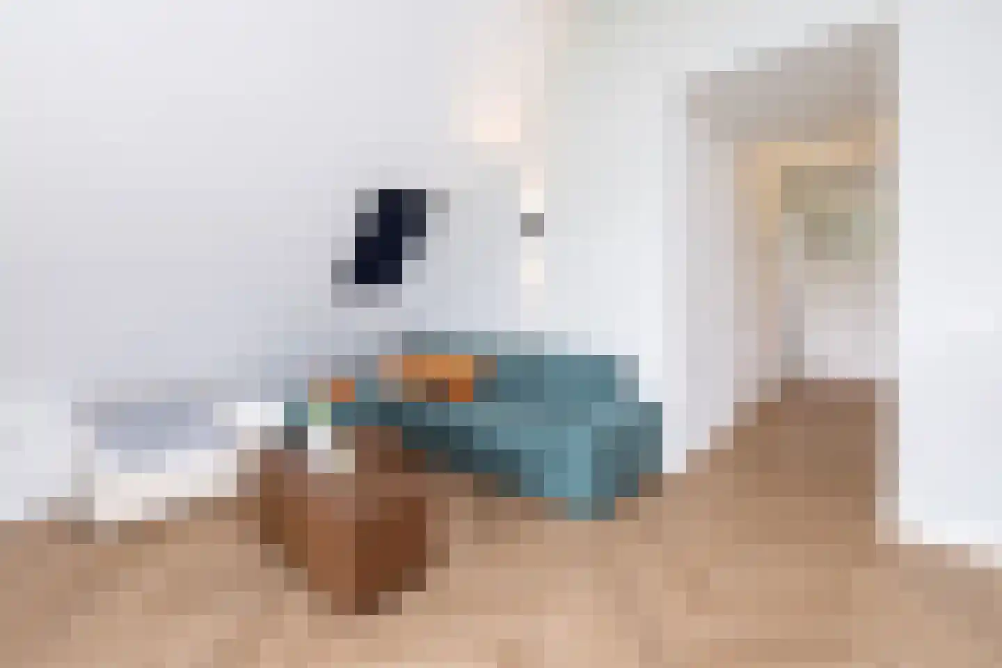 De Esch 33 Gramsbergen thumbnail 31