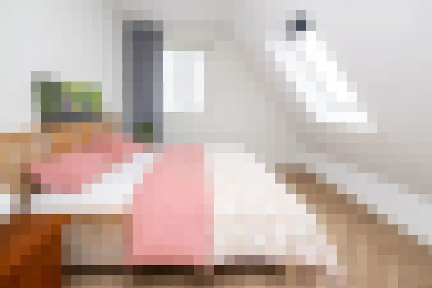 De Esch 33 Gramsbergen thumbnail 34