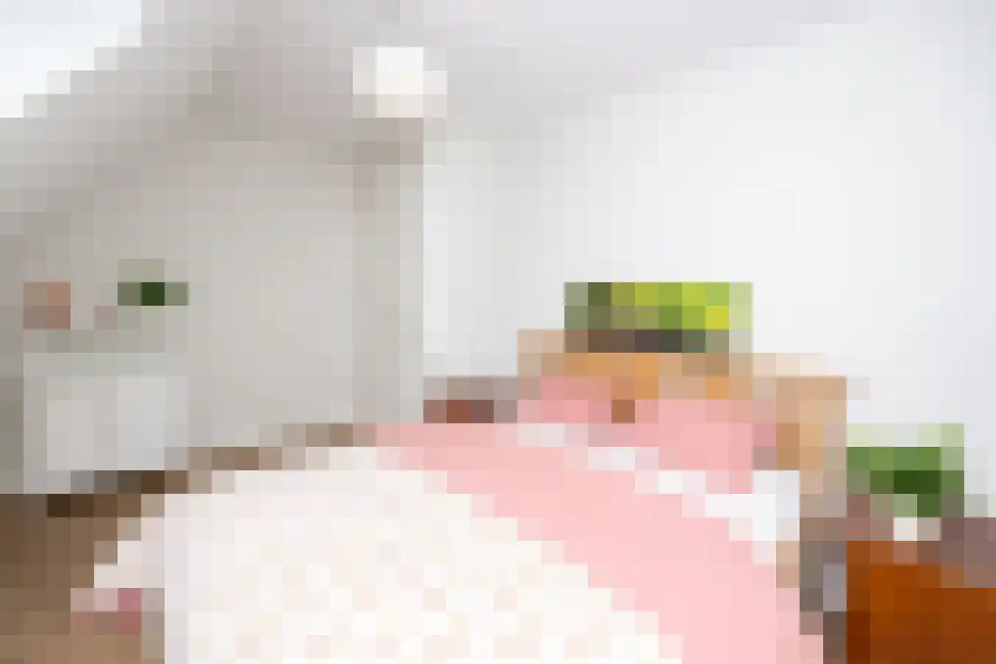 De Esch 33 Gramsbergen thumbnail 35