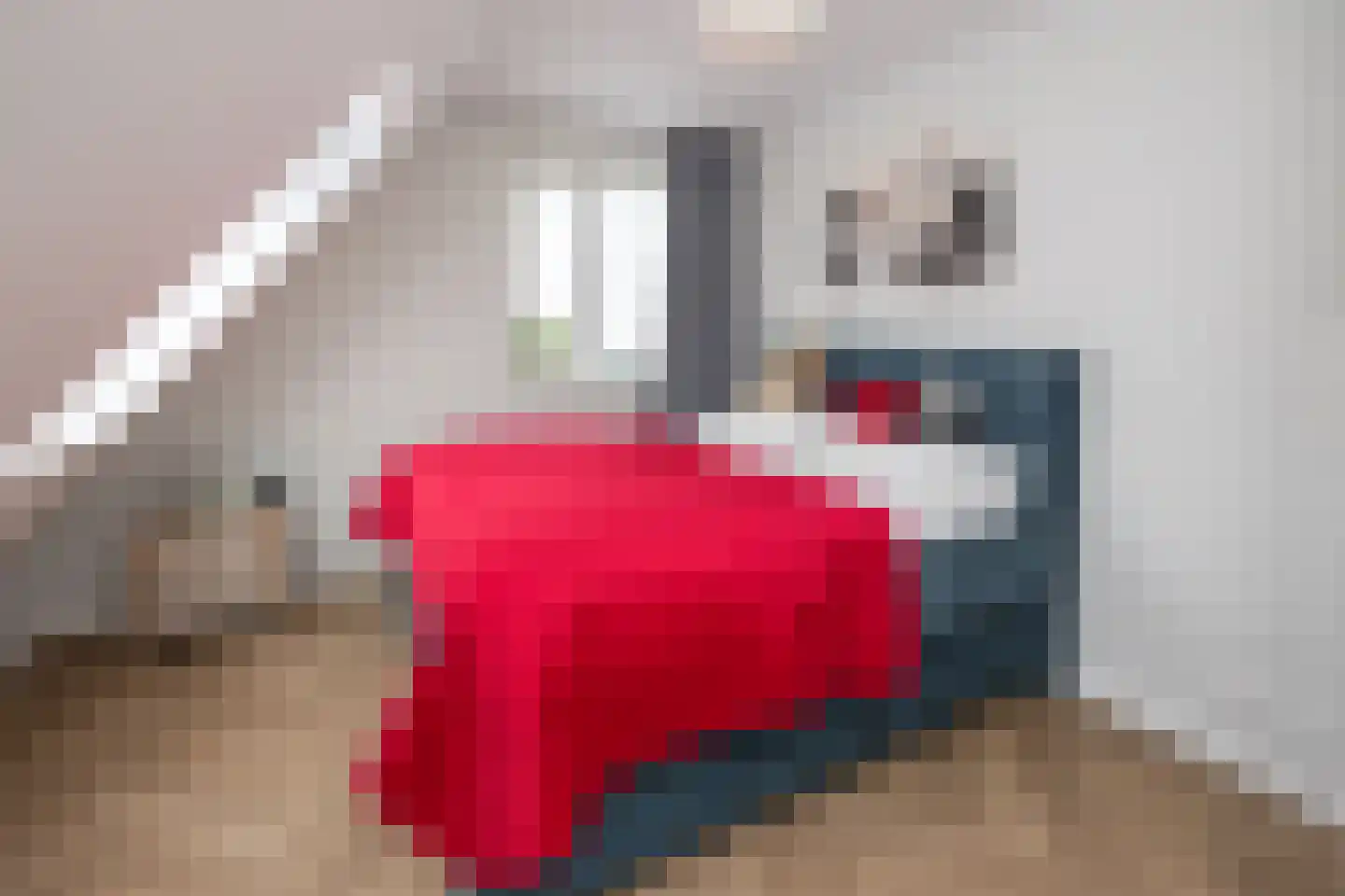 De Esch 33 Gramsbergen thumbnail 36