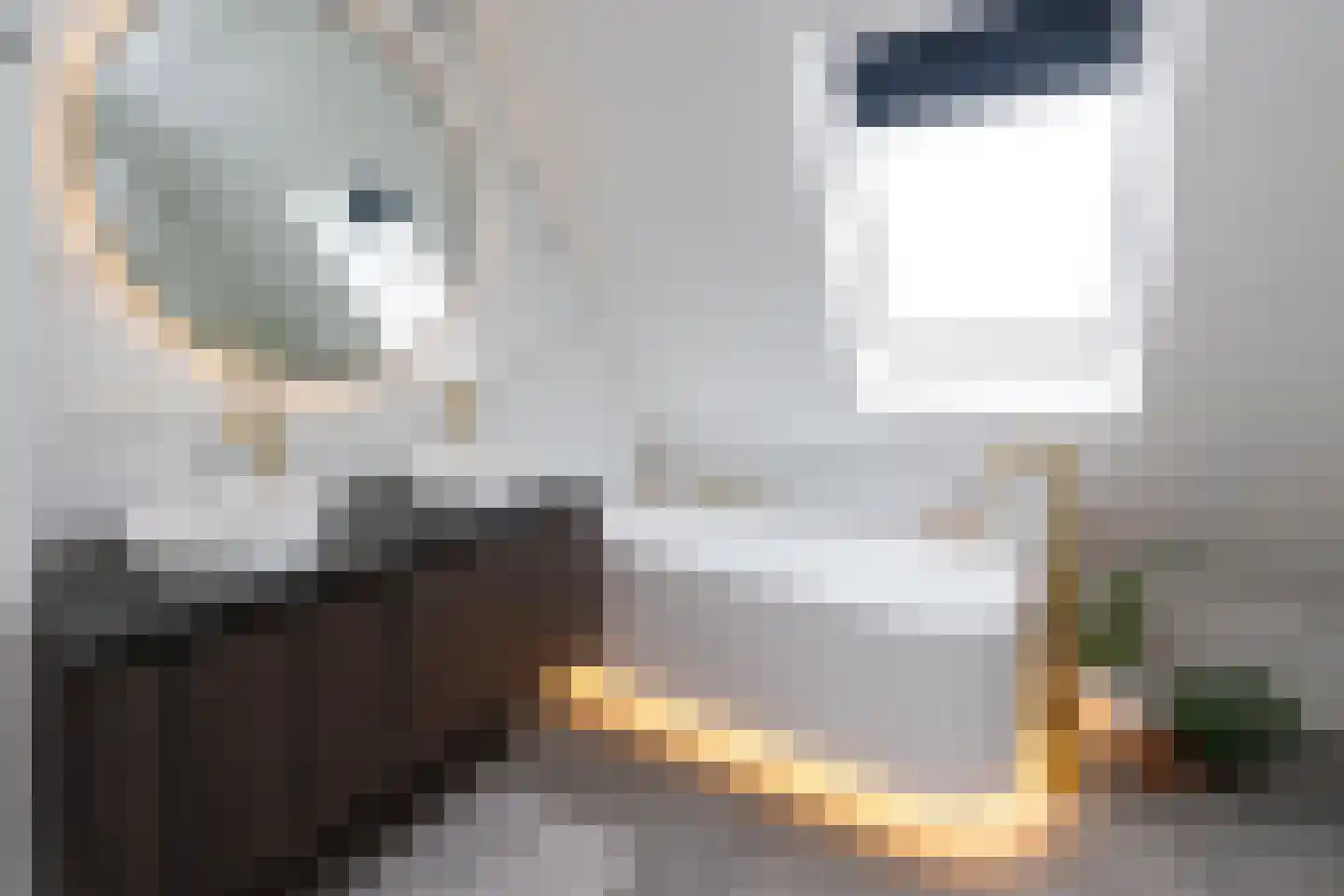 De Esch 33 Gramsbergen thumbnail 38