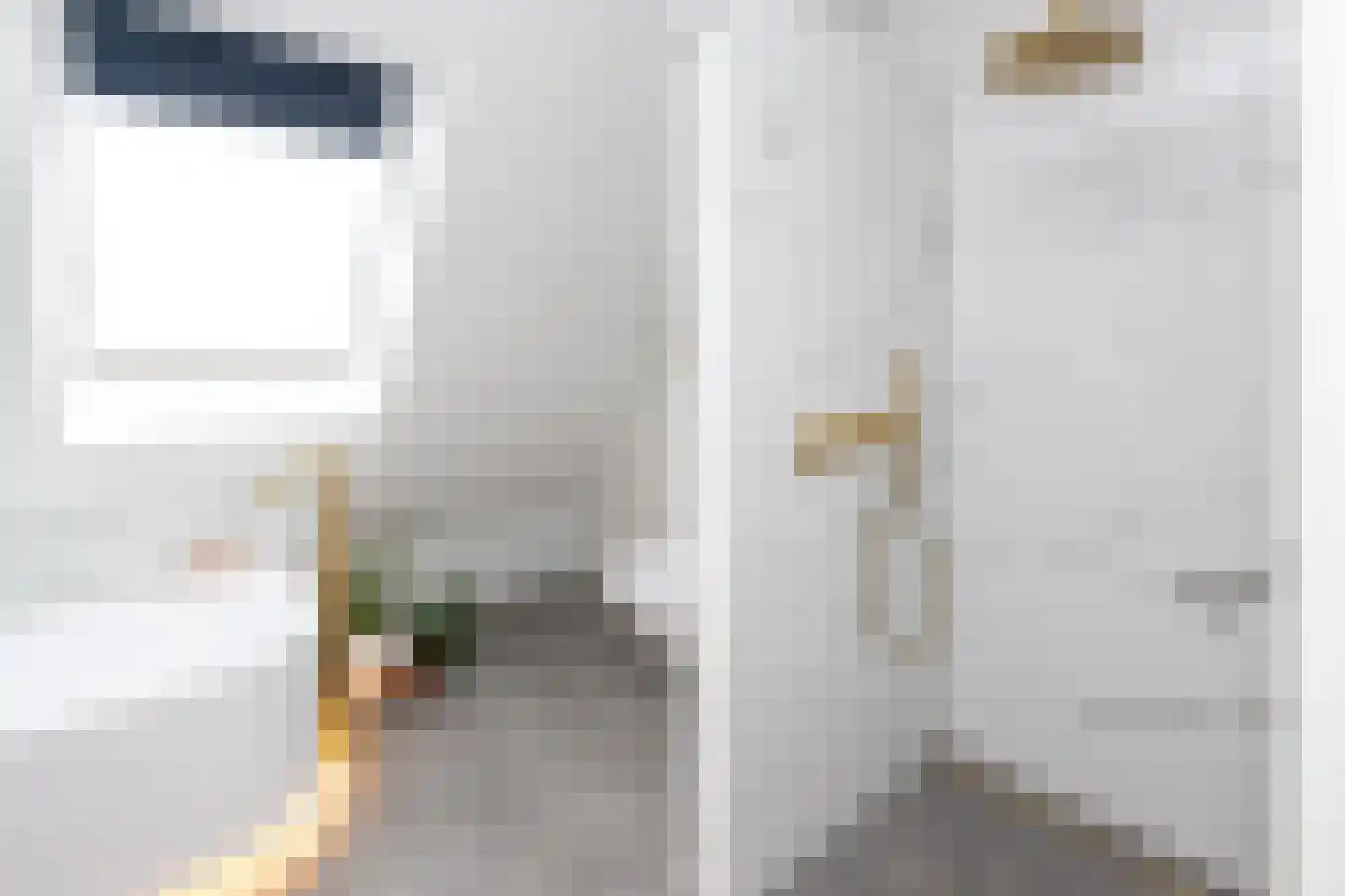 De Esch 33 Gramsbergen thumbnail 39